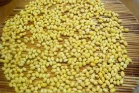 怎么教一年级孩子100以内的数字？会数不重要，关键是能不能理解图片