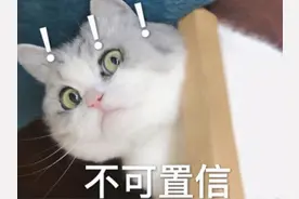 原班人马打造！承包00后童年的洛克王国，时隔11年终于出手游图片