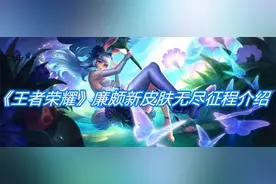 王者荣耀：廉颇出新皮肤无尽征程，峡谷中一个皮肤的英雄还有谁？图片