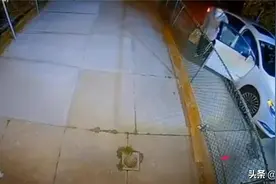 实拍！亚裔男子拔枪1对3，打跑非裔劫匪图片