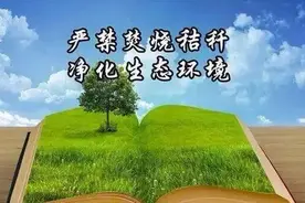秸秆禁烧宣传｜为啥说焚烧秸秆是违法行为？图片