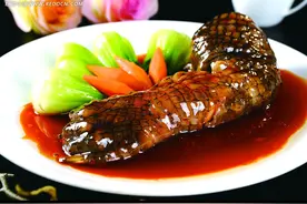 鳄鱼的灵感项目分析及运营方案图片