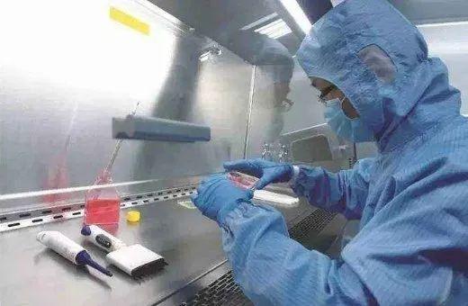 打狂犬疫苗能吃花胶吗 打狂犬疫苗能吃花胶吗