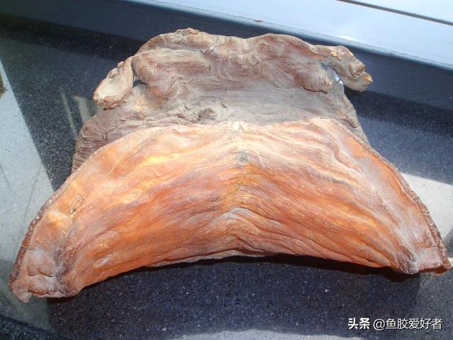 鱼胶要炖多久为最佳 2026年鱼胶要炖多久为最佳效果
