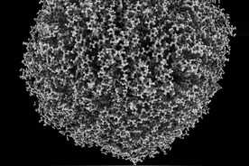 世界上分辨率最高的照片，甚至可以看清原子的模样！图片