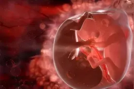 孕妈喝水有这3个讲究，羊水会变得更清澈，胎儿生长更健康图片