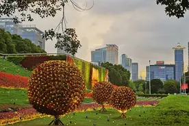 上海最宽的马路，100米宽，两旁都是高楼大厦，夜景很美图片
