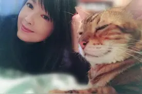 53岁周慧敏孤单晒猫，美貌惊人似冻龄，结婚11年无子图片