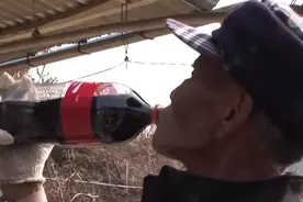 韩国大爷喝可乐上瘾！连续20年，每天9升当水喝：可乐包治百病图片