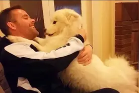 宠物狗有5种行为说明很喜欢主人，全中就要恭喜你了，这狗没白养图片