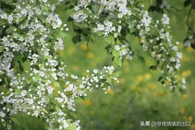 山里的春天图片