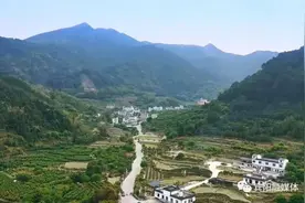 快来~宾阳陈平名山的青梅准备采摘啦，高清大图+视频先看为敬！图片