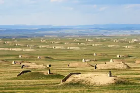 末日地堡再次火爆，40000美元一套，却越看越像坟包图片