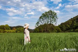 德化的青青草原图片