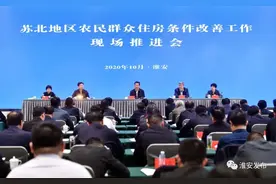 颜值+内涵+故事+特色，任振鹤点赞淮安农房改善！图片