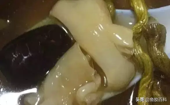 广东鱼胶汤的做法大全窍门 2026年广东鱼胶怎么做