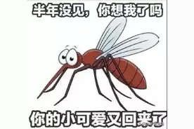 夏季！蚊香和蚊香液的安全使用守则一定要收好！图片