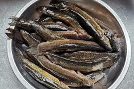 椒盐泥鳅怎么做好吃？教你一招，香酥美味，比饭店的好吃百倍图片