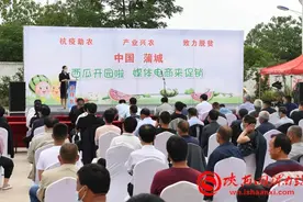 蒲城17万亩西甜瓜开园上市 媒体电商促销助瓜农脱贫致富（组图）图片