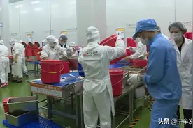 中牟各小学开启午间配餐模式——记者带您实地探访学校配餐企业图片