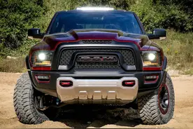 “叛逆”的公羊，连猛禽也得回避三分图片