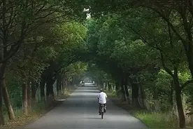爸爸的光辉照耀我前行图片