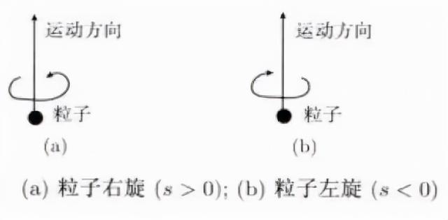 宇称为什么不守恒？