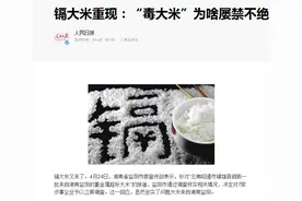 "有毒大米"卷土重来！还能不能吃？哪种更安全？答案在这里图片