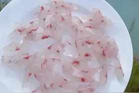 都是生吃鱼肉，“广东广西”的鱼生有啥区别，谁的做法最鲜美图片