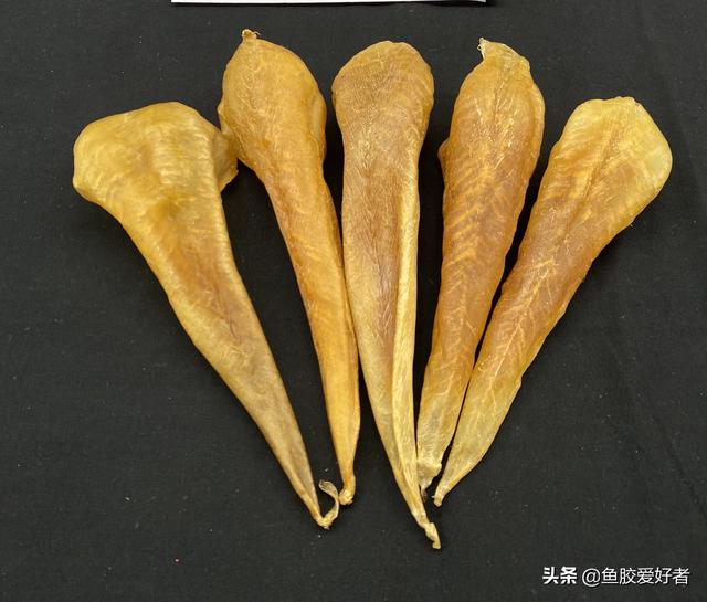 鱼胶是不是就是花胶 2026年鱼胶就是花胶吗