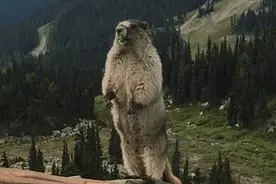 10大景区！全国铁路职工免门票、家属半价，铁警也免10大景区！全国铁路职工免门票、家属半价，铁警也免图片