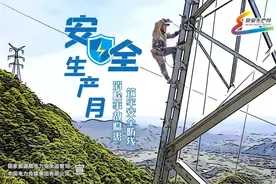 国网江苏电力董事长、党委书记肖世杰：全面构建安全生态体系图片