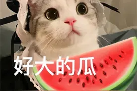 从上市到下架仅4天，滴滴经历了“悲喜两重天”图片