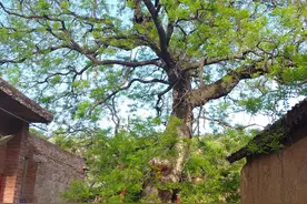 渑池仰韶大峡谷附近的赵沟古村落，拍了组照片，你看看怎么样？图片
