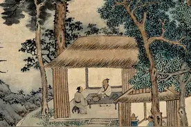 绿茶都是怎么进化来的？一篇文章，告诉你真相图片