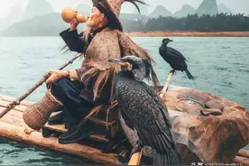 俗语“七月蜂、八月蛇、九月黄鳝惹不得”，老祖宗为啥这样忠告？图片