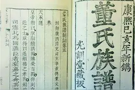 嗣子、祧子、继子、养子各有什么不同？在家谱中应该如何体现？图片