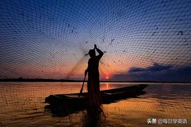 “black sheep”是“黑色的绵羊”？言外之意可就没这么单纯了图片