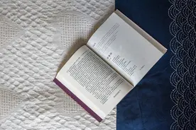 布尔乔亚没有错图片