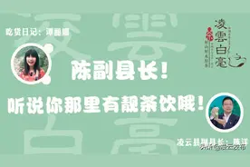 2020年凌雲白毫春茶交易云展会|县长带您云逛展图片