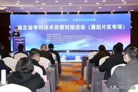 湖北省知识产权局举办（襄阳片区）专利技术供需对接活动图片