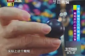 葡萄上的小疙瘩你注意过吗？这样的葡萄吃不得，它有哪些危害呢视频封面