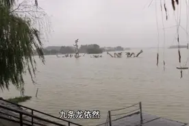 淮阳区，龙湖的由来视频封面