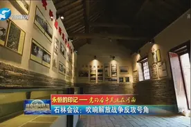 石林会议：吹响解放战争反攻号角 不忘初心，牢记使命。视频封面