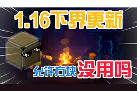 拒绝方块可以有效防冶nbt，允许方块是“鸡肋”？