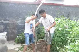 农村一年没用的废井，哥俩下水泵再试试，还能出水吗？结果都笑了