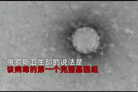 俄罗斯科学家拍摄显微镜下的新冠病毒，原来是这个样子
