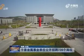全是好单位！山东10家省属事业单位公开招聘，共计739个岗位视频封面