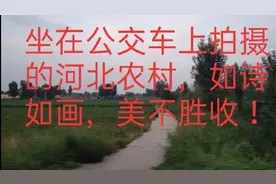 农村通公交车了，坐在车上，看看河北衡水的农村，一个字：美！视频封面