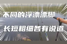 沉寂在水下的浮漂漂脚，却是左右渔获的根本所在，老钓手都搞不清视频封面